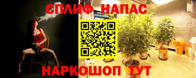 тгк Будённовск