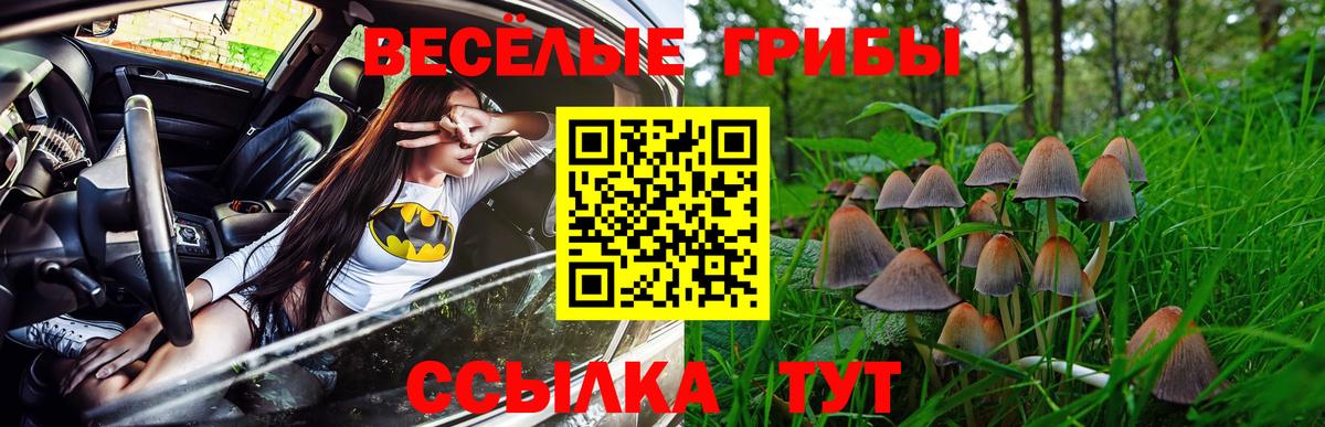 Кстово  Галлюциногенные грибы Magic Shrooms  Вход с VPN  Псилоцибиновые грибы Cubensis 